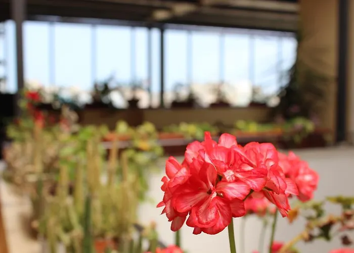 Le Chiavi Di San Francesco شقة فندقية